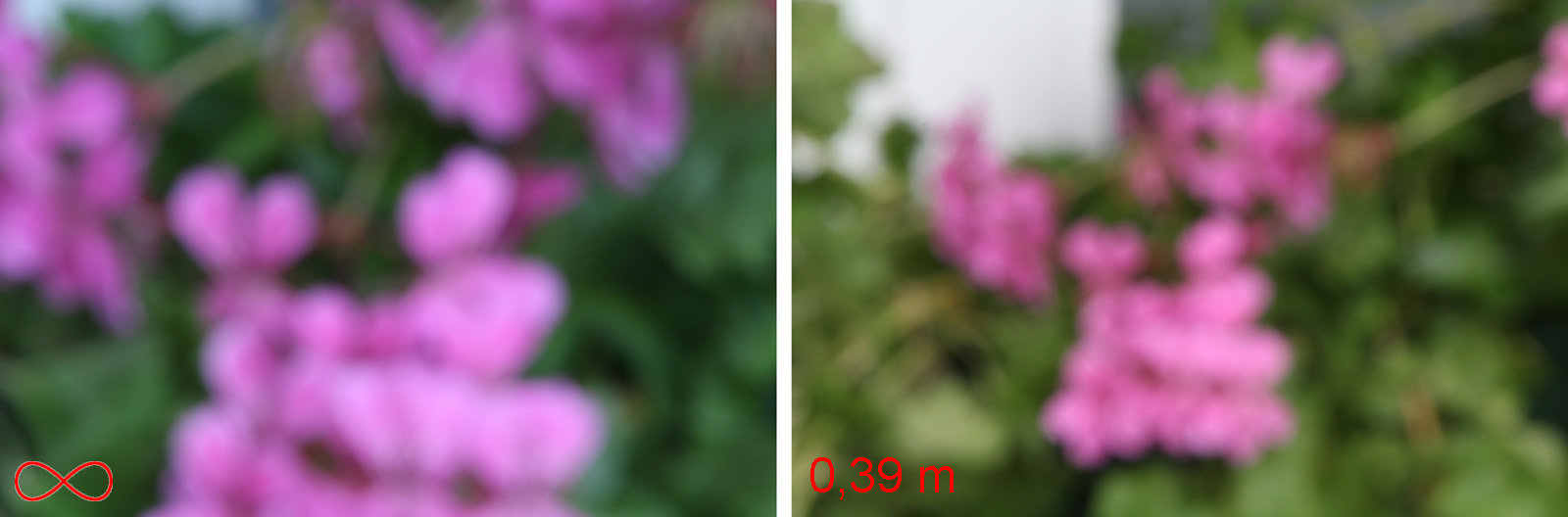 Tamron 16-300 mm f/3.5-6.3, ogniskowa 300 mm. Widać ogromną różnicę w skali odwzorowania pomiędzy zdjęciami z ostrością ustawioną na ∞ i minimalną dostępną odległość 0,39 m. Różnica w kadrach okazała się tak duża, że zupełnie inaczej zadziałał automatyczny balans bieli. A dlaczego zdjęcia nieostre? Cóż, nawet maksymalne dostępne przymknięcie przysłony (w tym wypadku f/40) nie dało szans na złapanie obiektu odległego od aparatu o ok. 1,5 m w głębię ostrości dla skrajnych ustawień skali odległości. Owe 1,5 m zostało przeze mnie dobrane celowo. Chodziło mi o podobny poziom nieostrości na obydwu kadrach.