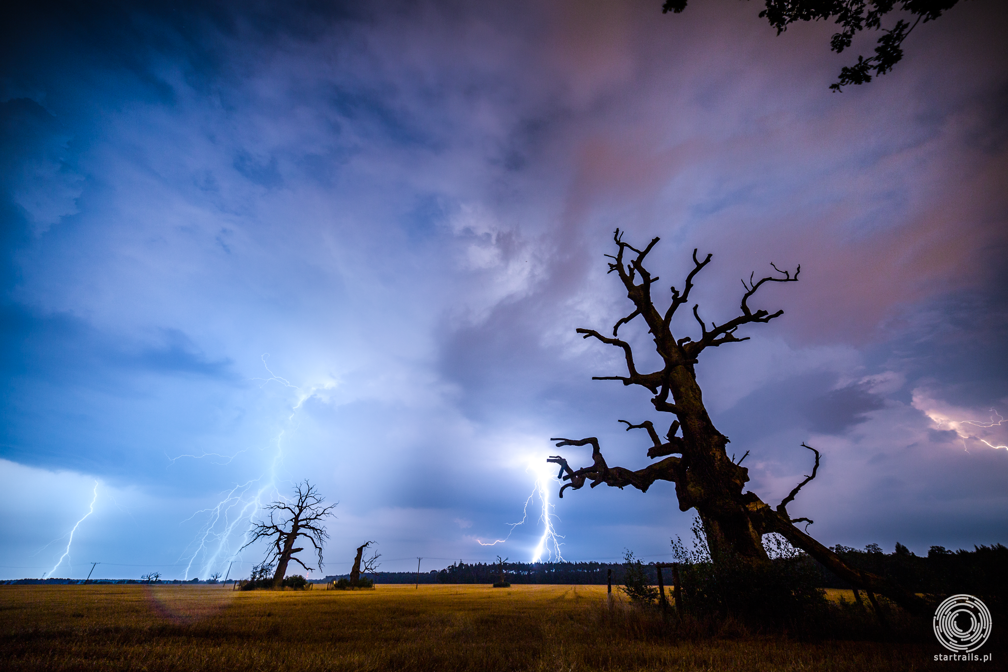 Rogalin widok na stare kilkusetletnie dęby, otwarta polana, brak deszczu. Canon 5D Mark III, Samyang 14 mm f/2.8, ISO 320, F/8 (manualny obiektyw nie przenosi informacji o przysłonie do exifa, wartość F z pamięci) T 20 s.